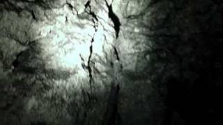 preview picture of video 'Vandal Cave in the Withlacoochee State Forest, Citrus County, Florida, USA'