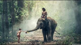 Nibana - I Am a Soul