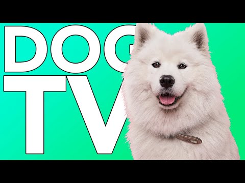 DOG TV! Stunning Nature & Drone TV with Relaxing ASMR Music for Dogs!