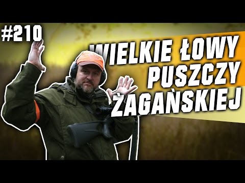 Darz Bór odc. 210 - Wielkie Łowy Puszczy Żagańskiej 2016