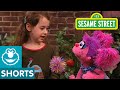 Sesame Street Abby And Elizabeth Talk About Pets