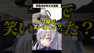 野生のがみとも先輩に鼻で笑われる #イナイロハ #ストグラ救急隊 #イージスゼロ #稲荷いろは #ストグラ #shorts