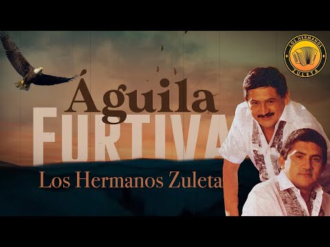 Águila Furtiva, Los Hermanos Zuleta - Letra Oficial