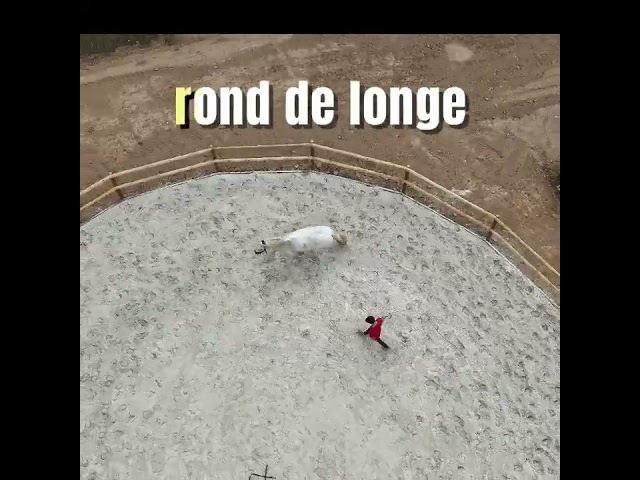 Ecurie haut de gamme bien &ecirc;tre animal