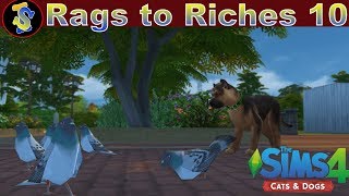 Let's Play The Sims 4 Rags to Riches Cats and Dogs EP10