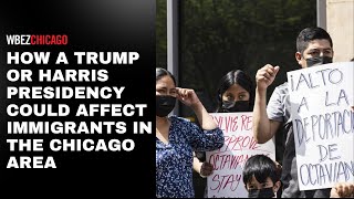 What a Trump or Harris presidency could mean for climate, the environment and energy