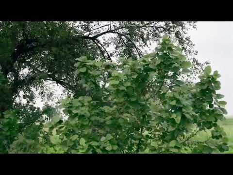 Decomentory on nature Beautiful nature/joyfull nature/beauty of nature/lovely nature/nature beauty