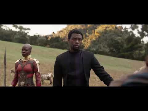 Bucky Barnes becomes White Wolf.Avengers Infinity War