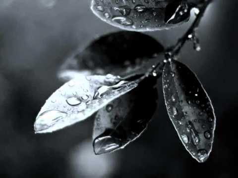 Marwan Jaafreh - Moments Of Remembering (Original Mix )