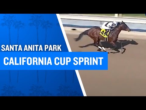 2025 $125,000 California Cup Sprint Stakes at Santa Anita Park