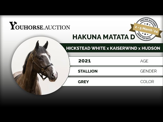Hakuna Matata
