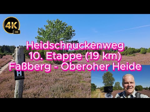 Heidschnuckenweg 10. Etappe (19 km) Faßberg - Oberoher Heide - 4K HD