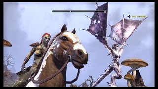 Elder Scrolls Online- EARNING the $42,700 HORSE MOUNT- PS4 1080p 60f