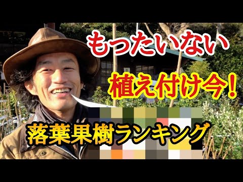 粘土質の土壌に植える果樹はどれですか?いつ、どのように植えるのですか？  庭園