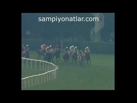 1995 Cumhuriyet Koşusu - Yavuzhan