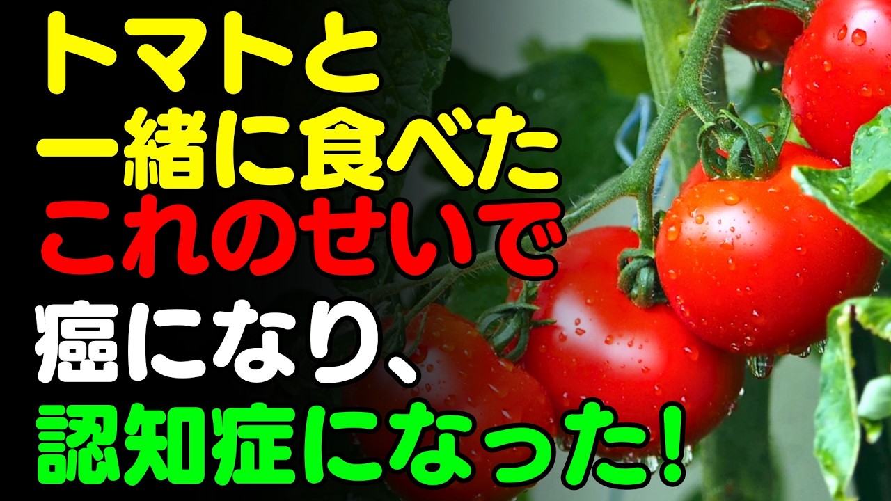 トマトと「これ」を一緒に食べないで！🍅トマトと食べると滋養強壮になる食品3選＆簡単レシピ！サプリの代わりに食べるべき栄養食とは？【がん認知症予防、骨脳の健康情報、栄養効果料理、ビタミン、ケチャップ】