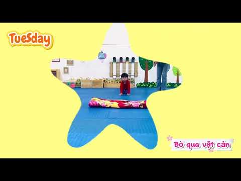 VĐCB: Bò qua vật cản