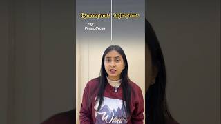 Gymnosperms v/s Angiosperms |  Plant Kingdom #shorts #neet #biology #class11 #study #shortsvideo