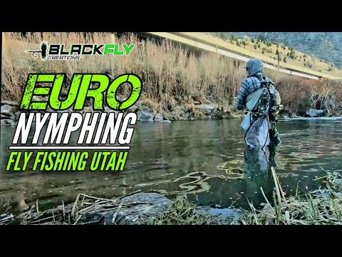 Hot Fly Rips Lip Euro Nymphing Utah! New Echo Shadow X Fly Rod! Fly Fishing Black Fly Creations