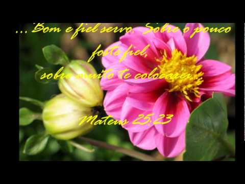 Nesta vida Reclamei - Hino Avulso CCB