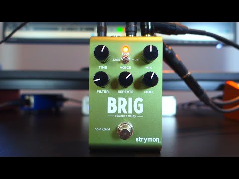 Immagine Strymon Brig dBucket Delay 2023 - Present - Green - 19