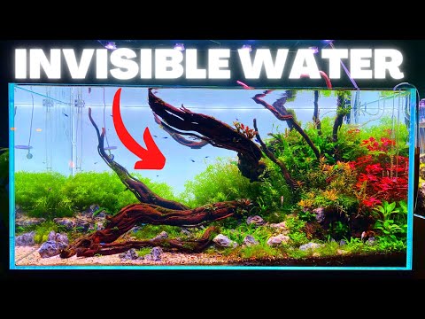 HOW TO FIX: CLOUDY WATER IN AQUARIUM! EVEN WITHOUT A FILTER!