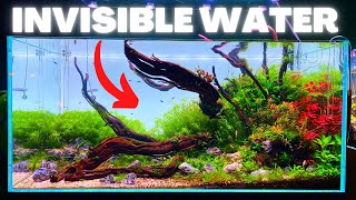 HOW TO FIX: CLOUDY WATER IN AQUARIUM! EVEN WITHOUT A FILTER!