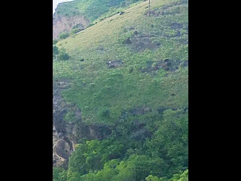 Fényan - Lonely Pharaoh