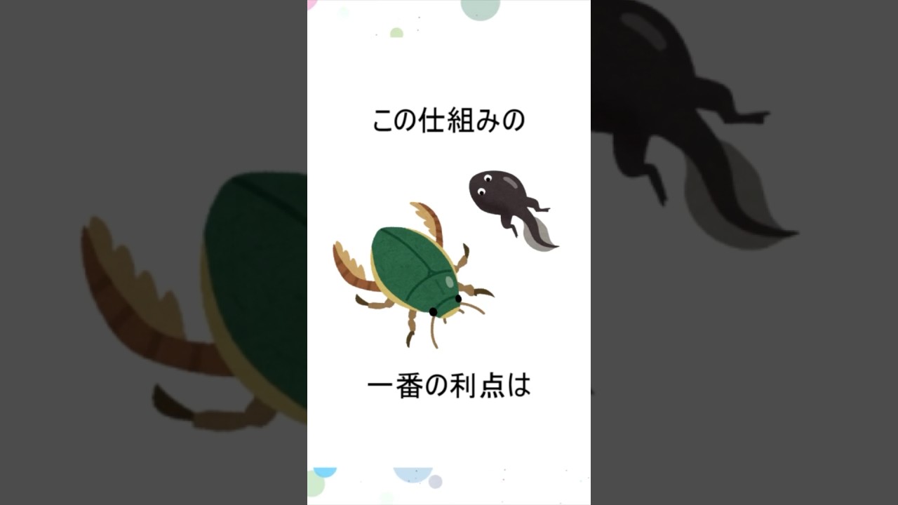 注目している環境保全の取り組みはありますか？