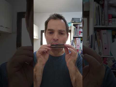 Harmonica Embouchure Switching Exercise