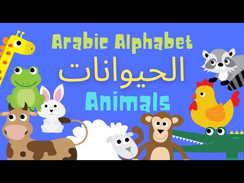 Studio Qahwa Arabic Alphabet (Kids Songs) | (الحيوانات) (أغاني أطفال)  - الحروف العربية