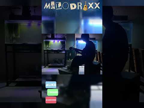 PART-13, From the guitar to the appearance of a luxurious aquarium, #music, #enjoy, #enjoymusic,