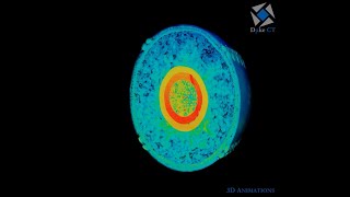 MicroCT Inside Baseball