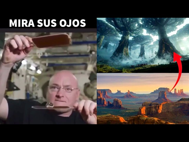 TE MINTIERON EN ABSOLUTAMENTE TODO!