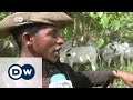 Herdsmen Clash With Farmers In Nigeria DW News