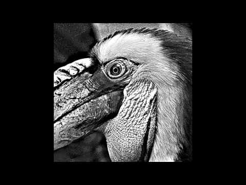 Bear Bones Lay Low - Vestide De Fuego