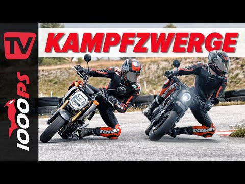 Pitbikes mit Straßenzulassung: Honda MSX 125 Grom vs. Brixton Crossfire 125 XS - Kampfzwerge Duell!