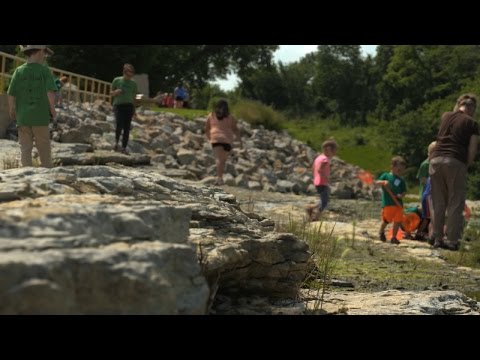 Devonian Fossil Gorge