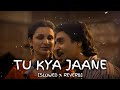 Tu Kya Jaane - Perfectly [Slowed x Reverb]