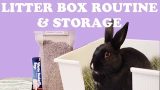 Rabbit Litter Box Set-Up & Routine