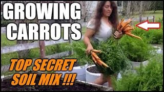 Growing Carrots In Raised Beds And Containers | Secret Soil Mix