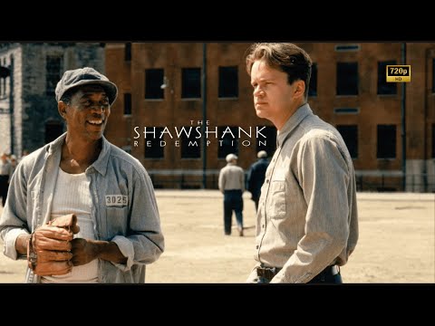 The Shawshank Redemption (1994) | Tim Robbins, Morgan Freeman | Hope, Time, Institutional Psychology