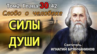 ТОМ 2. ГЛАВА 30. - Силы души. Святитель Игнатий (Брянчанинов)