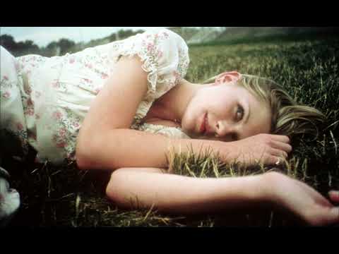 Playlist. the virgin suicides