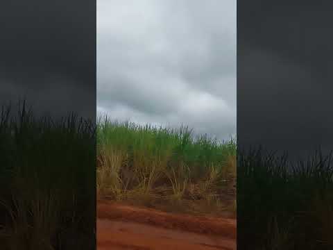 power Line in Gral Higinio Morinigo caazapa