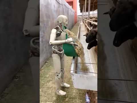 , title : 'farm robot'