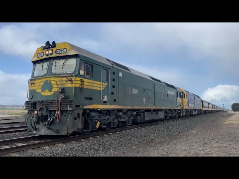 Down 7733V Pacific National grain with G520 (FA) and G525 arriving at Gheringhap loop 14/9/2024