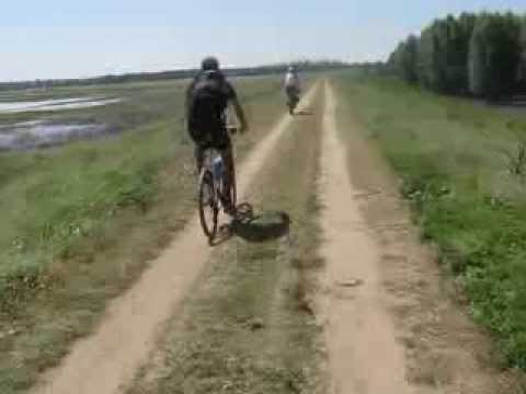 Pe canal la Cetate, jud. Dolj