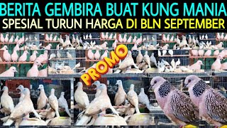 Download lagu GAS‼️SPESIAL TURUN HARGA DI BLN SEPTEMBER PERKUTUT WARNA DI KIOS BMS PASAR BURUNG PRAMUKA mp3