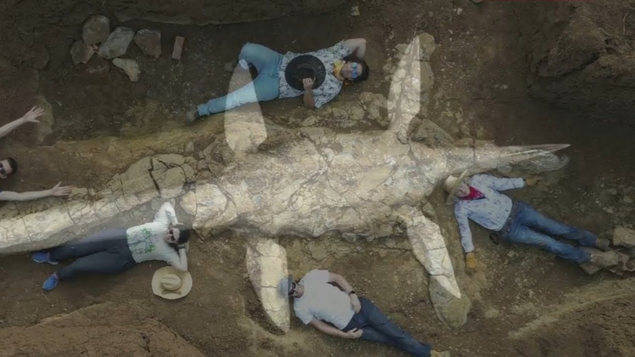 World first: Fully intact species of dinosaur found in Australia